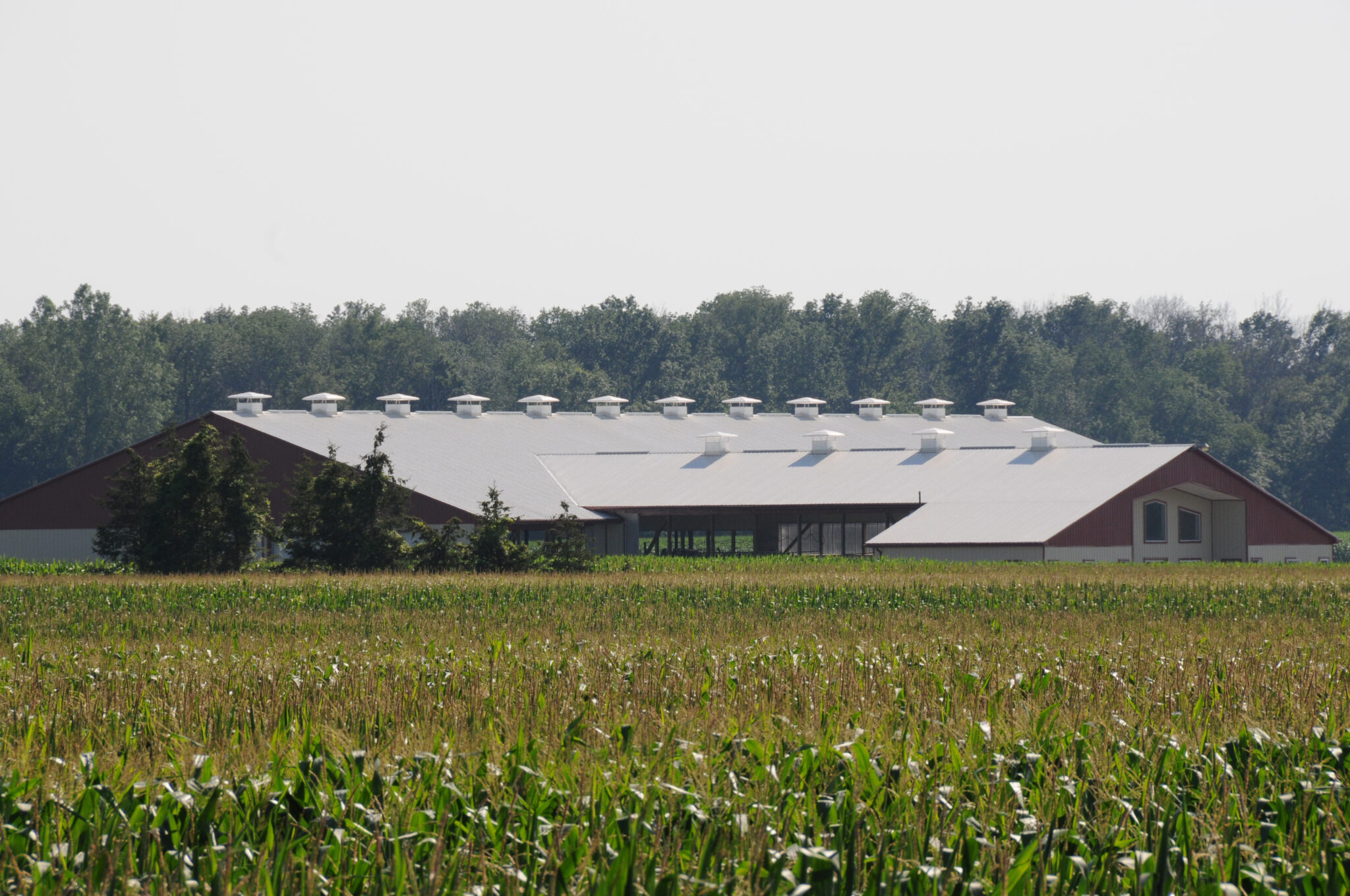 Castle Hills farm building made with prefabricated metal materials.