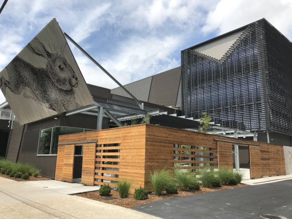 Modern restaurant building at Rabbit Hole Distillery featuring a distinctive bunny artwork, large glass windows, metal framework, and wooden accents.